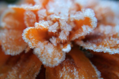 jesien_2010_001
