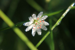 jesien_2010_003