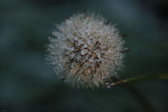 jesien_2010_004